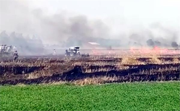 fire in farm