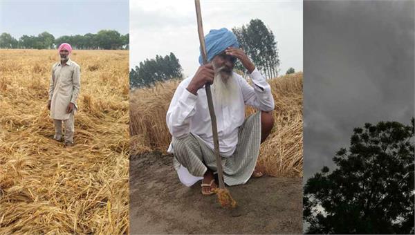 farmer in tension
