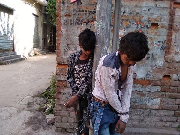 police arrest robbers