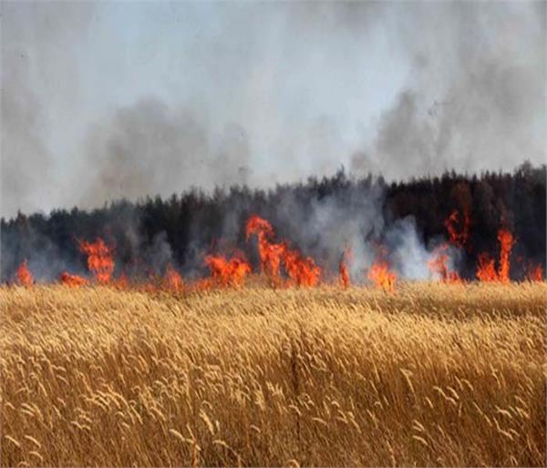 wheat fire