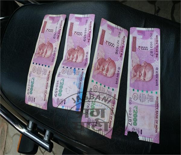 state bank of india