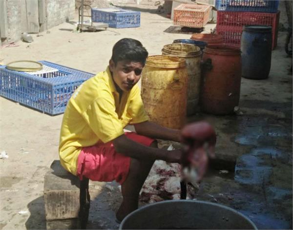 child labor  dismissal  children