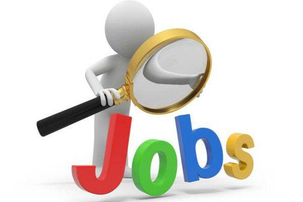 apply online for the 11 deputy general manager and other posts