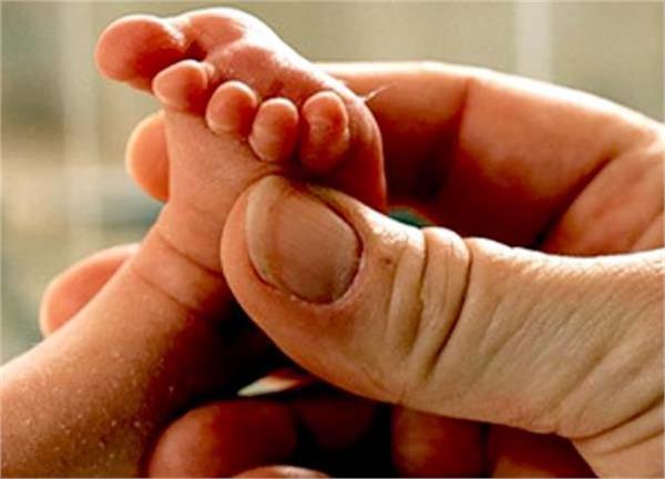 embryo thrown in the litter pile