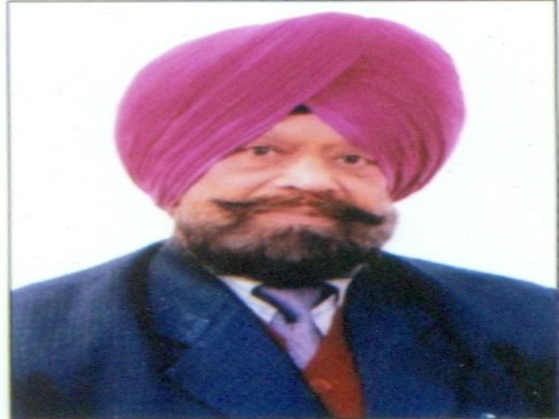 ਕਲਾ ਨੂੰ ਸਮਰਪਿਤ ਹੱਥ ਅੱਜ ਵੀ ਬਣਾ ਰਹੇ ਨੇ ਸੱਭਿਆਚਾਰਿਕ ਰੱਥ