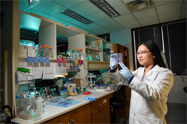 identified of protein associated with breast cancer