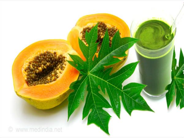 pape leaf juice is also extremely useful for health