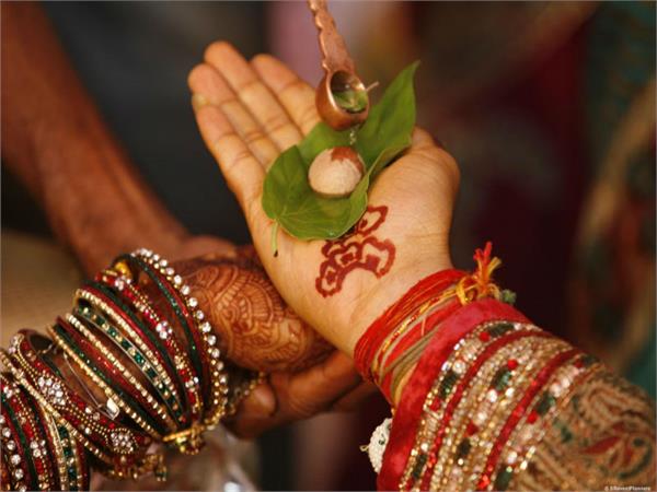 our sparrows are amazed