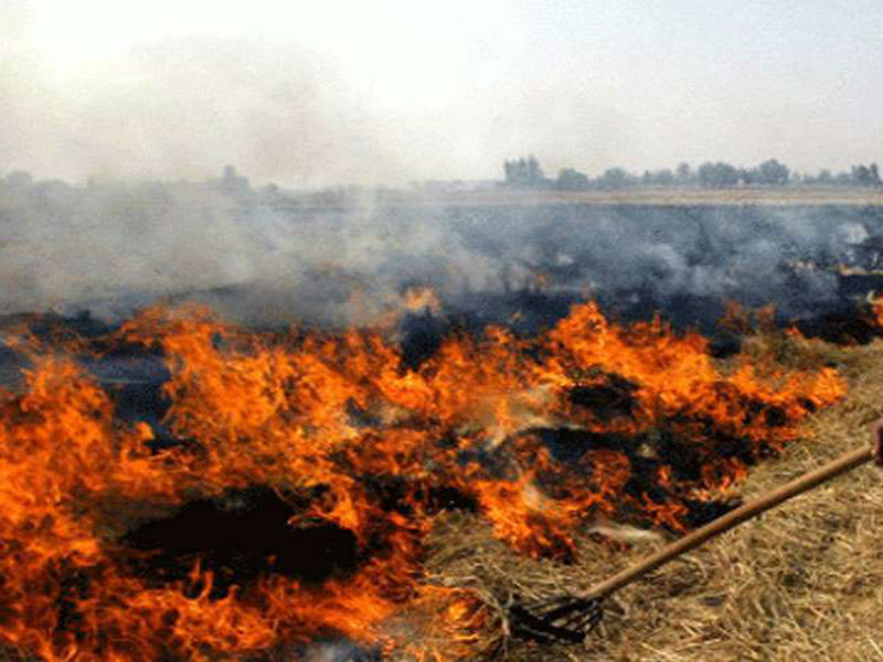 ਤਿੰੰਨ ਧਿਰੀ ਸਮੱਸਿਆ ਪਰਾਲੀ ਨੂੰ ਅੱਗ ਲਾਉਣਾ