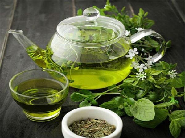 elapsed by obesity this eliminates these serious diseases green tea