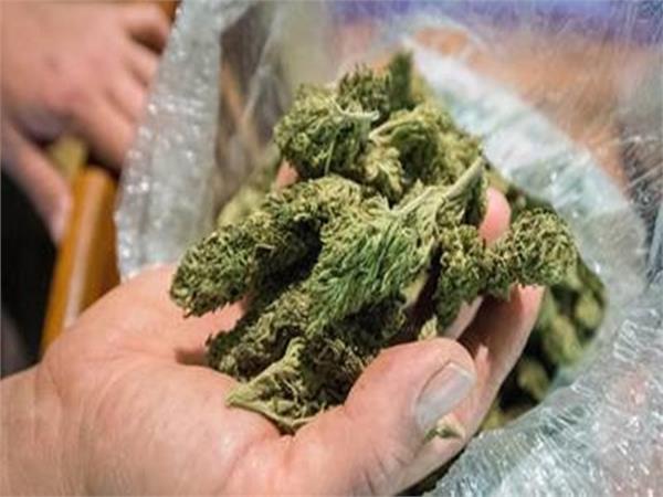 two women held for smuggling 92 kg marijuana