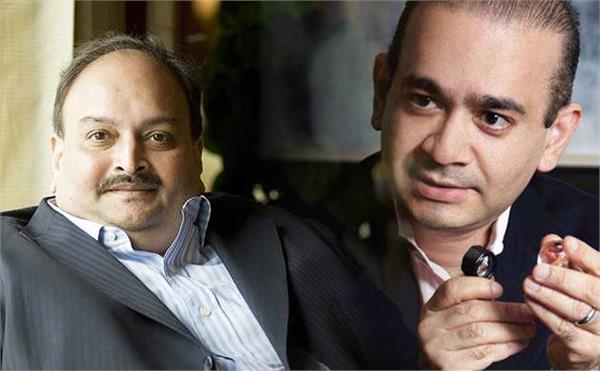 non bailable warrant issued against nirv and choksi