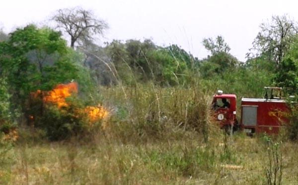 forest fire forest department seized control