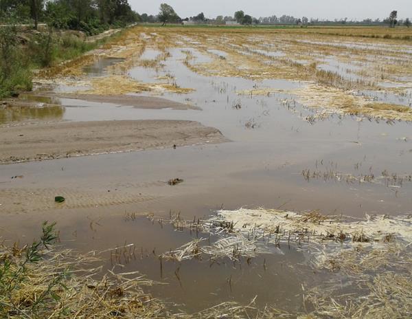 due to the excess water coming into the droppin road lane