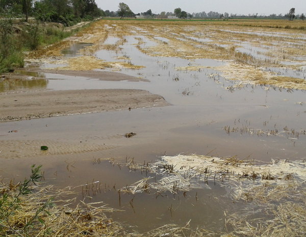 ਜ਼ਿਆਦਾ ਪਾਣੀ ਆਉਣ ਨਾਲ ਸੂਏ 'ਚ ਪਿਆ ਪਾੜ; ਸੜਕ ਧਸੀ