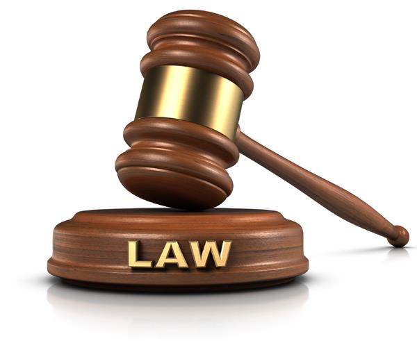 the bus driver imprisoned for two years in the accident case