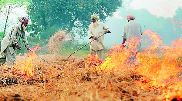 ਨਾੜ/ਪਰਾਲੀ ਸਾੜਨ ਦੀ ਸਮੱਸਿਆ ਨਾਲ ਨਜਿੱਠਣ ਲਈ ਰਚਨਾਤਮਕ ਉਪਾਵਾਂ ਨਾਲ ਅੱਗੇ ਆਉਣ ਸੂਬਾ ਸਰਕਾਰਾਂ