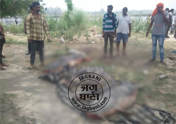 poisonous beas  op soni  he order given the report will be 3 days