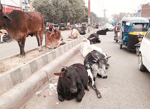 corporation take responsibility  then no attack on sidhu