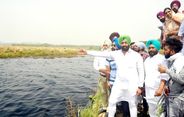 sukhpal singh khaira