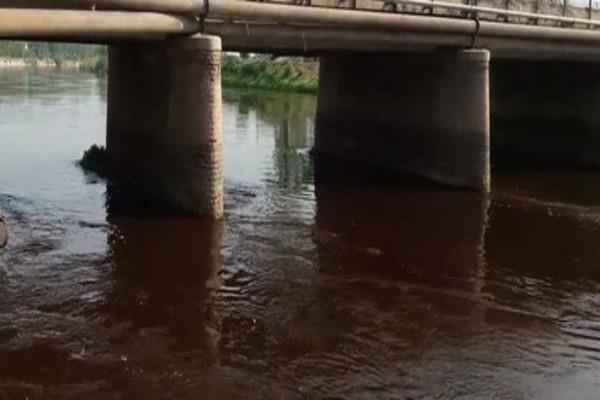 rajasthan and sirhind feeder canals have water poisonous