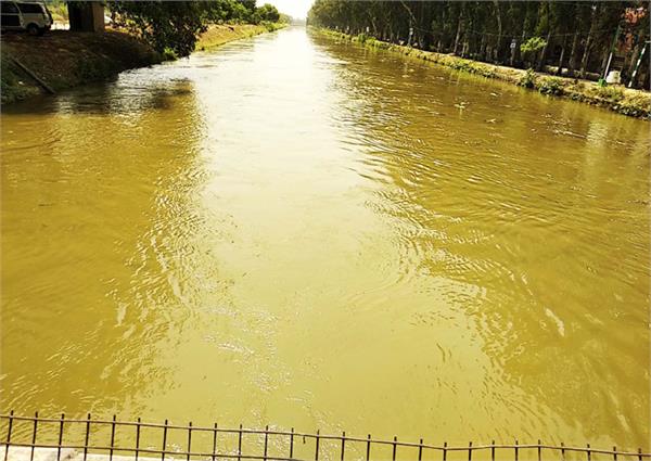 contaminated water issue