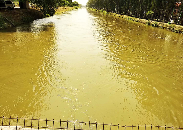 ...ਹੁਣ ਵੀ ਵਹਿ ਰਿਹੈ 20-30 ਫ਼ੀਸਦੀ ਦੂਸ਼ਿਤ ਪਾਣੀ