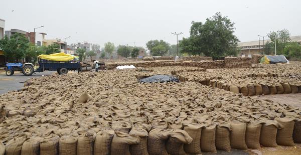 guna taxpayers are being recovered in bhagtanwala