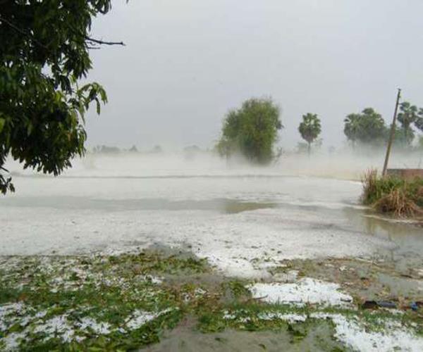 hurricane storm crops 33 people deaths