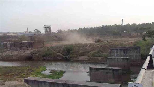 beas river  fish death