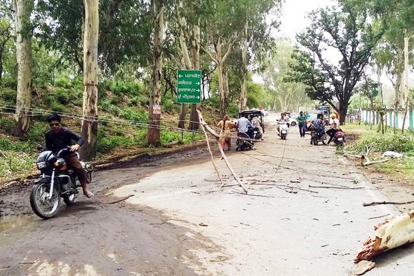 ਤੇਜ਼ ਹਨੇਰੀ ਨਾਲ ਦਰੱਖਤ ਡਿੱਗੇ, ਅਾਵਾਜਾਈ ਪ੍ਰਭਾਵਿਤ