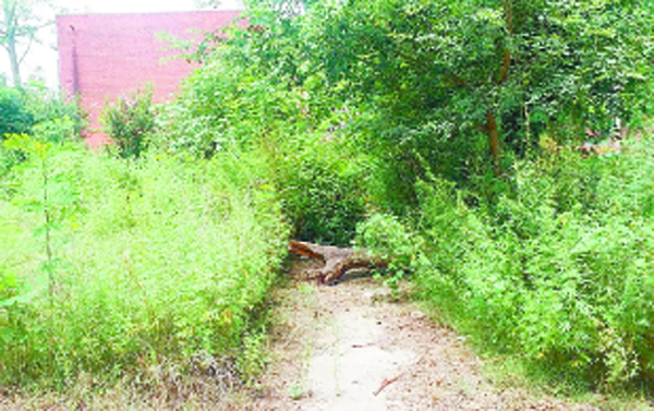 ਰਾਜੀਵ ਗਾਂਧੀ ਪਾਰਕ ਦੁਰਦਸ਼ਾ ਦਾ ਸ਼ਿਕਾਰ