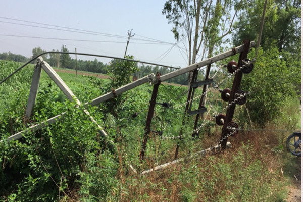 ਹਨੇਰੀ ਕਾਰਨ ਸਡ਼ਕ ’ਤੇ ਦਰਜਨਾਂ ਦਰੱਖ਼ਤ ਡਿੱਗੇ