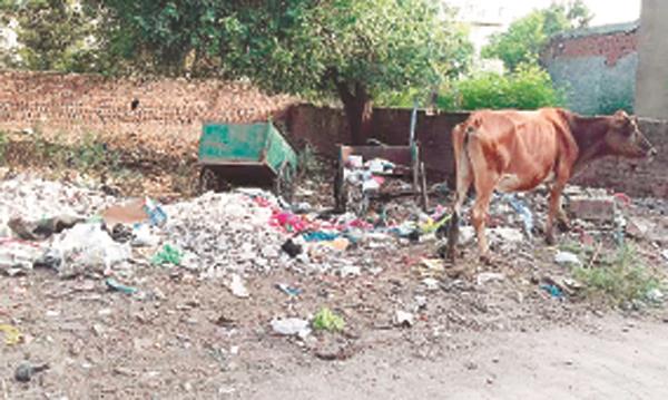the piles of contamination kept mission punjab in the mouth