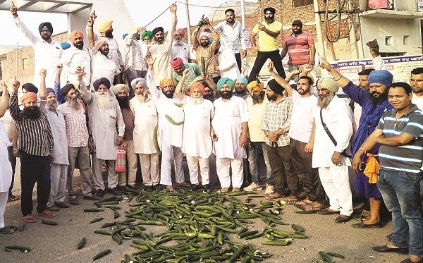 vegetable market