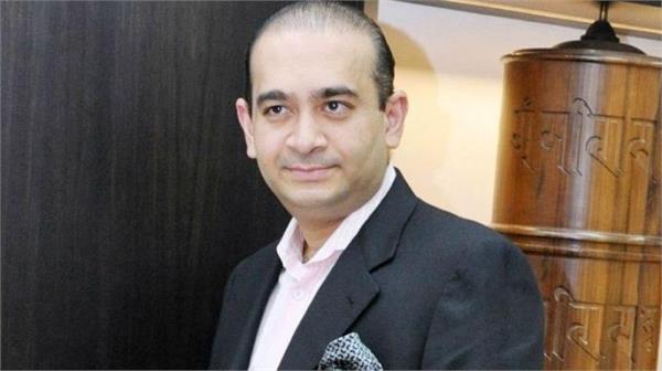 nirav modi non bailable warrant