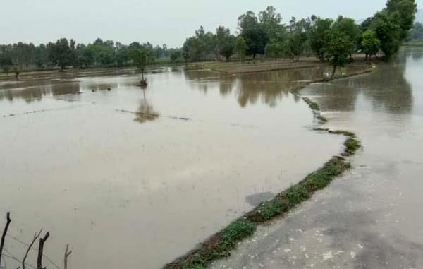 canal  water entered in the fields