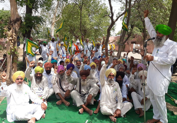 ਖੇਤੀ ਸੈਕਟਰ ਲਈ ਬਿਜਲੀ ਸਪਲਾਈ ਪੂਰੀ ਨਾ ਦੇਣ ਤੋਂ ਭਡ਼ਕੇ ਕਿਸਾਨ