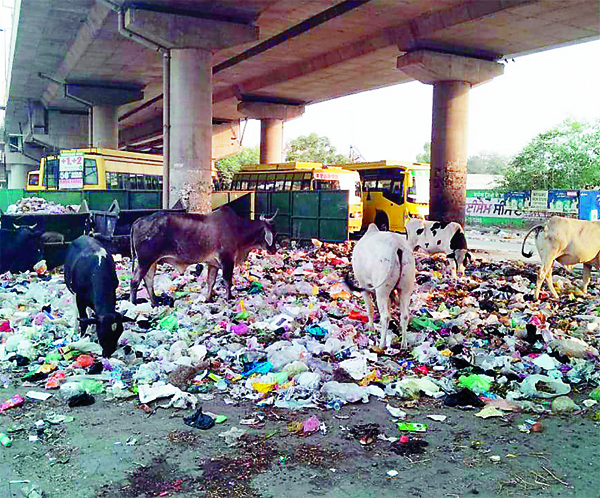 ਸਫਾਈ ’ਚ ਨੰ. 1 ਖਿਤਾਬ ਮਿਲਣ ਤੋਂ ਬਾਅਦ ਫਿਰ ਸੌਂ ਗਿਆ ਨਿਗਮ