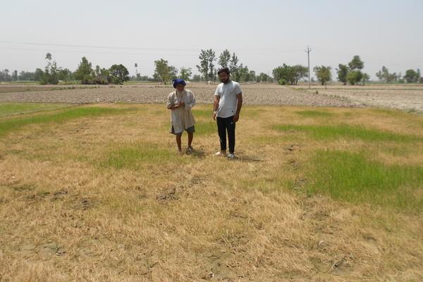 land possession blame