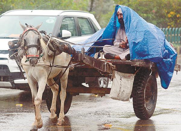monsoon in guru nagri  relief from people  s heat