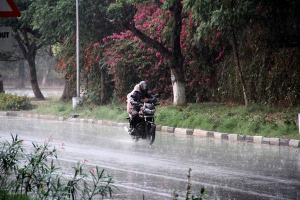 pre monsoon strongly knockout