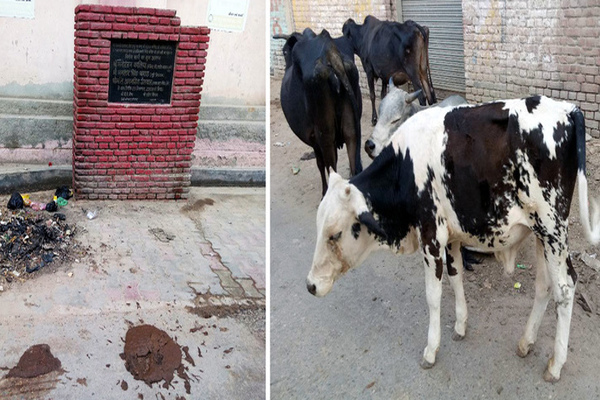 ਪੰਚਾਇਤੀ ਗਊਸ਼ਾਲਾ ਰੋਡ ’ਤੇ ਪਈ ਰਹਿੰਦੀ ਹੈ ਗੰਦਗੀ