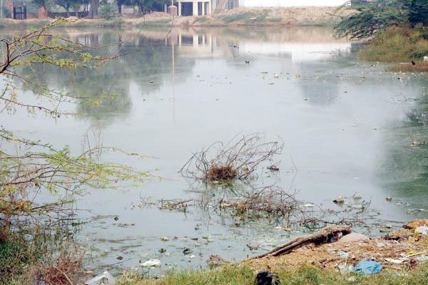 punjab is in the grip of cancer and other dangerous diseases