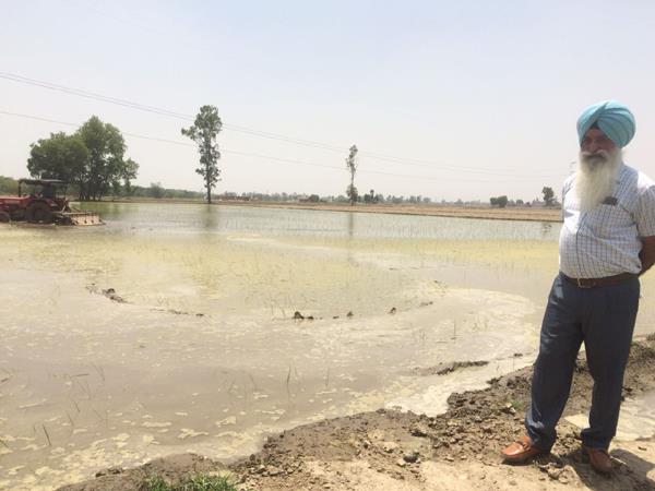 the agriculture department initiated paddy in advance