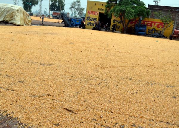 frequent intermittent rains