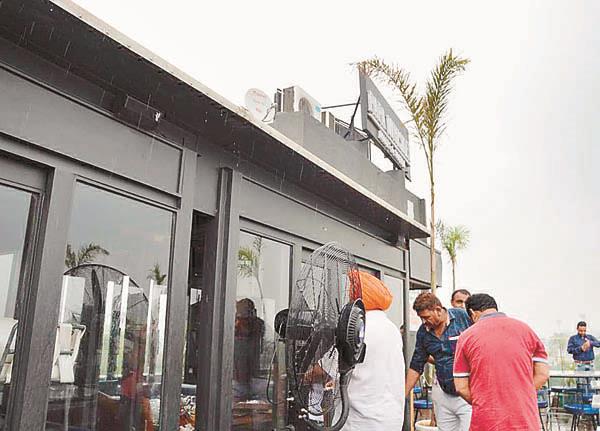 papa whiskey  brew corporation