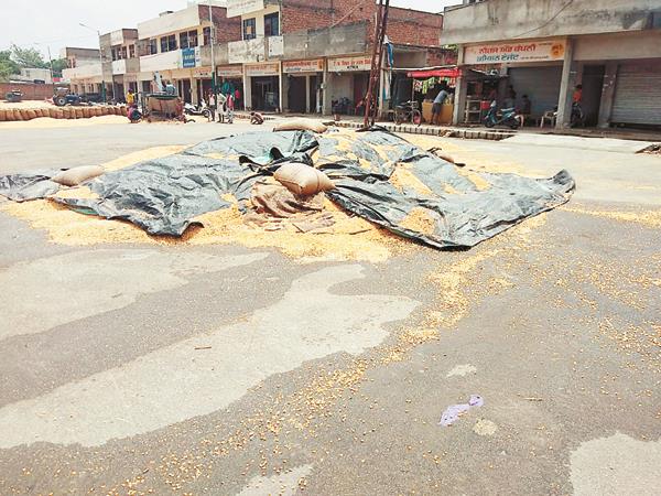 the rain came as a result of relief for somebody disaster
