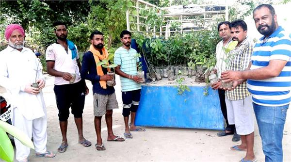 500 plant distributed