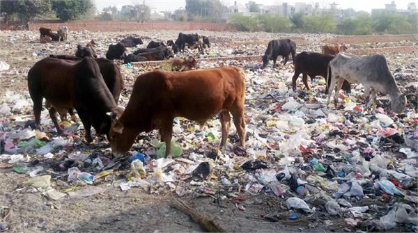 jagbani special news